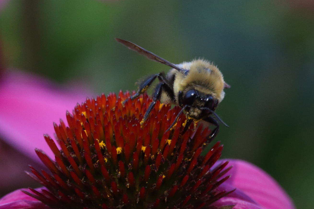2015 07 16 HTP 000069399e (2)